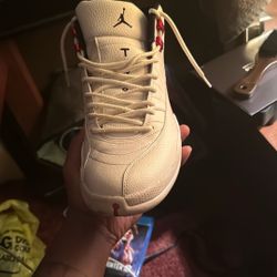 Air Jordan Retro 12 