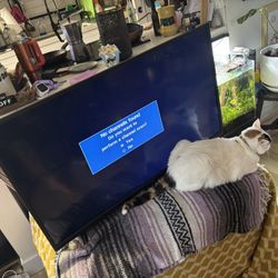 Insignia 27" Tv