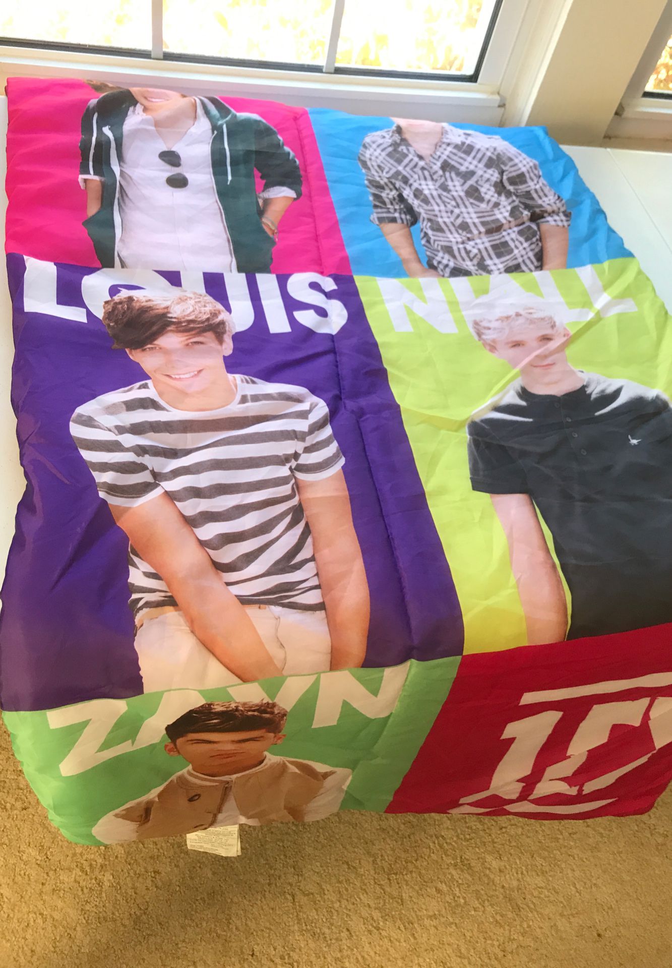 One Direction Sleeping Bag