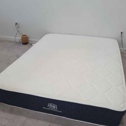 Hybrid Queen Mattress 