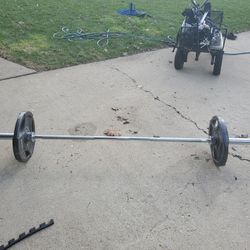 45 lb Olympic Bar + Pair of 45 lb Plates