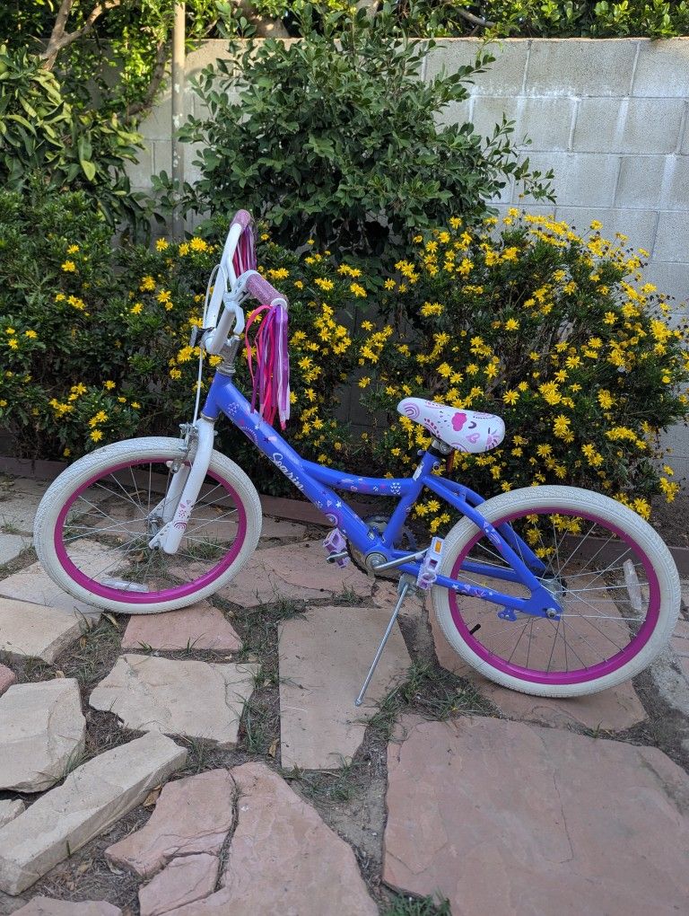 20-In Kids Bike