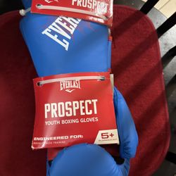 Everlast Prospect Youth Boxing Gloves 