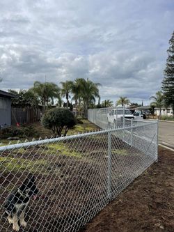 Fence And Gate.