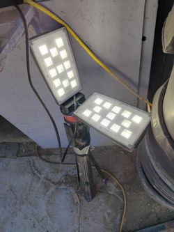 Husky  light