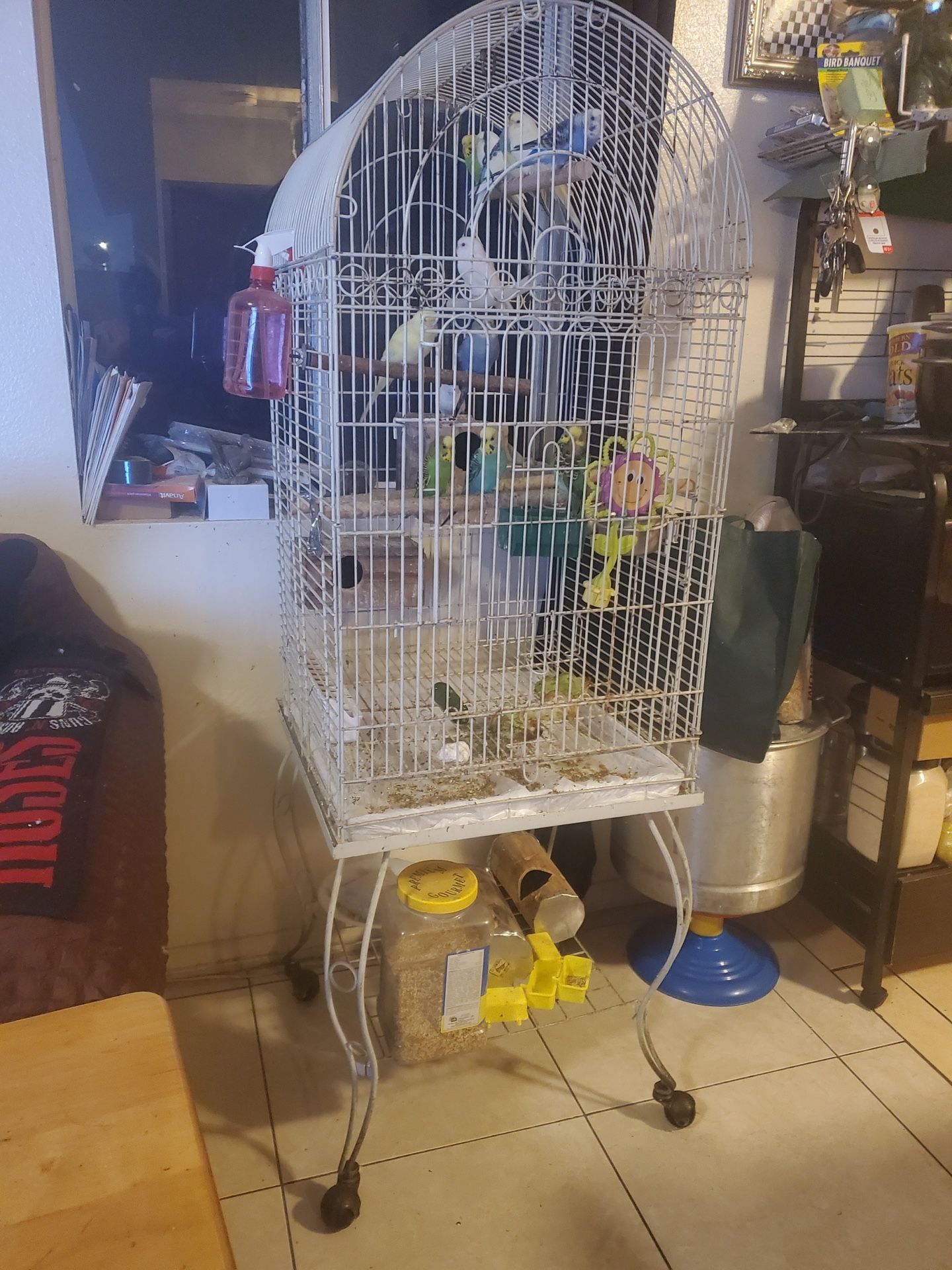 Bird Cage