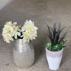 Home Decor Pots