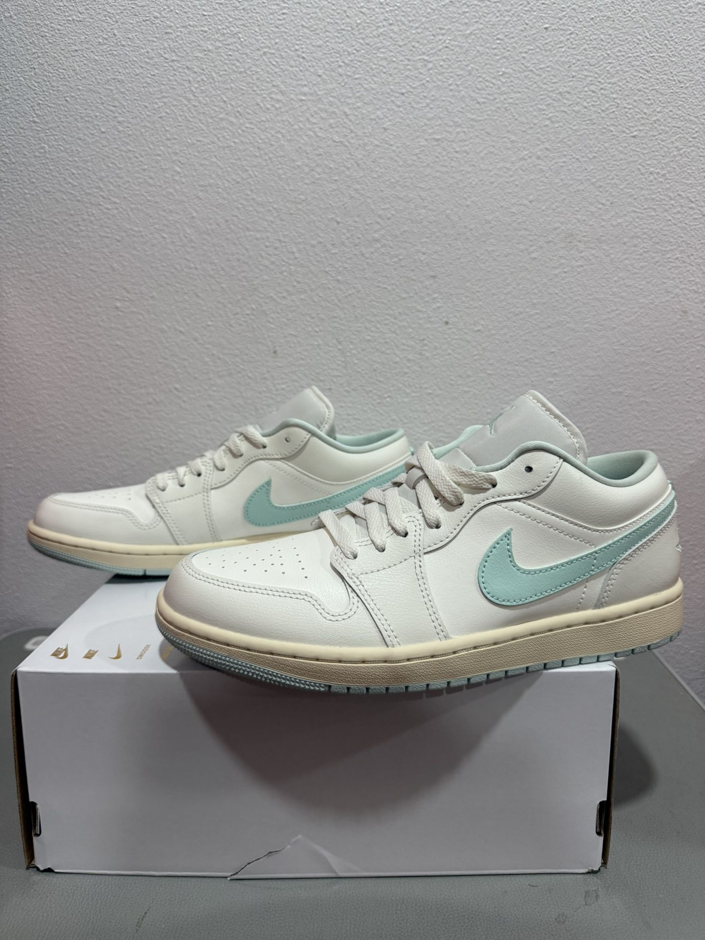 Nike Air Jordan 1 low shoe DC0774-134