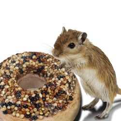 Penn-Plax Bagel Mineral Blocks, 50% Off Retail