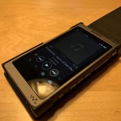 Sony NW-A45 Digital Music Player / Walkman