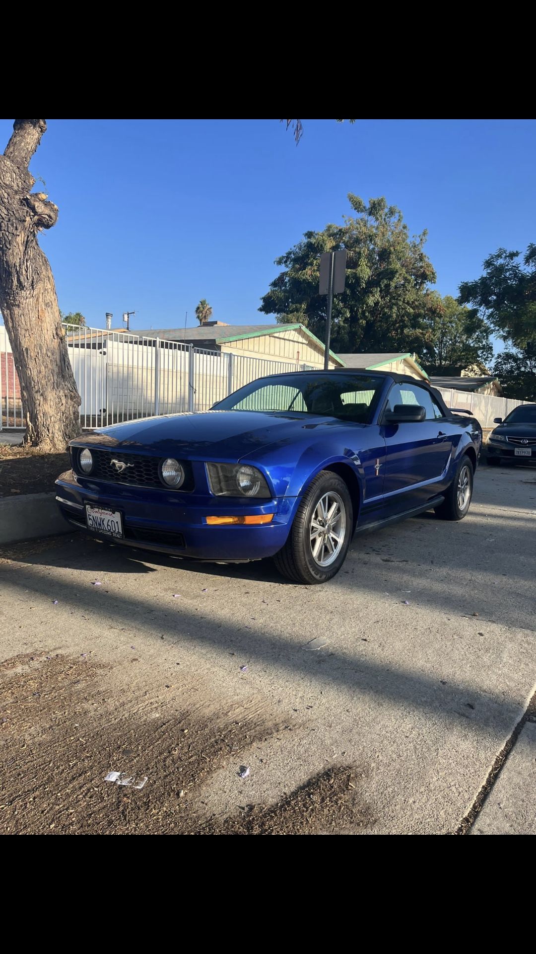 2005 Ford Mustang