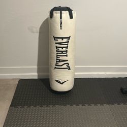 Everlast punching bag 