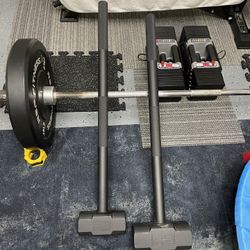 Training Hammers