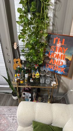 Golden bar cart and “I’ll stay home and drink” wall art