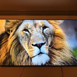75 Inch Smart 4K Toshiba Fire TV