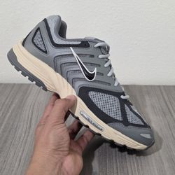 Nike Air Pegasus 2005