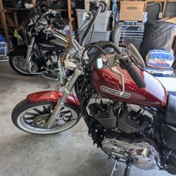 2010 Harley-Davidson Sportster 1200 Low