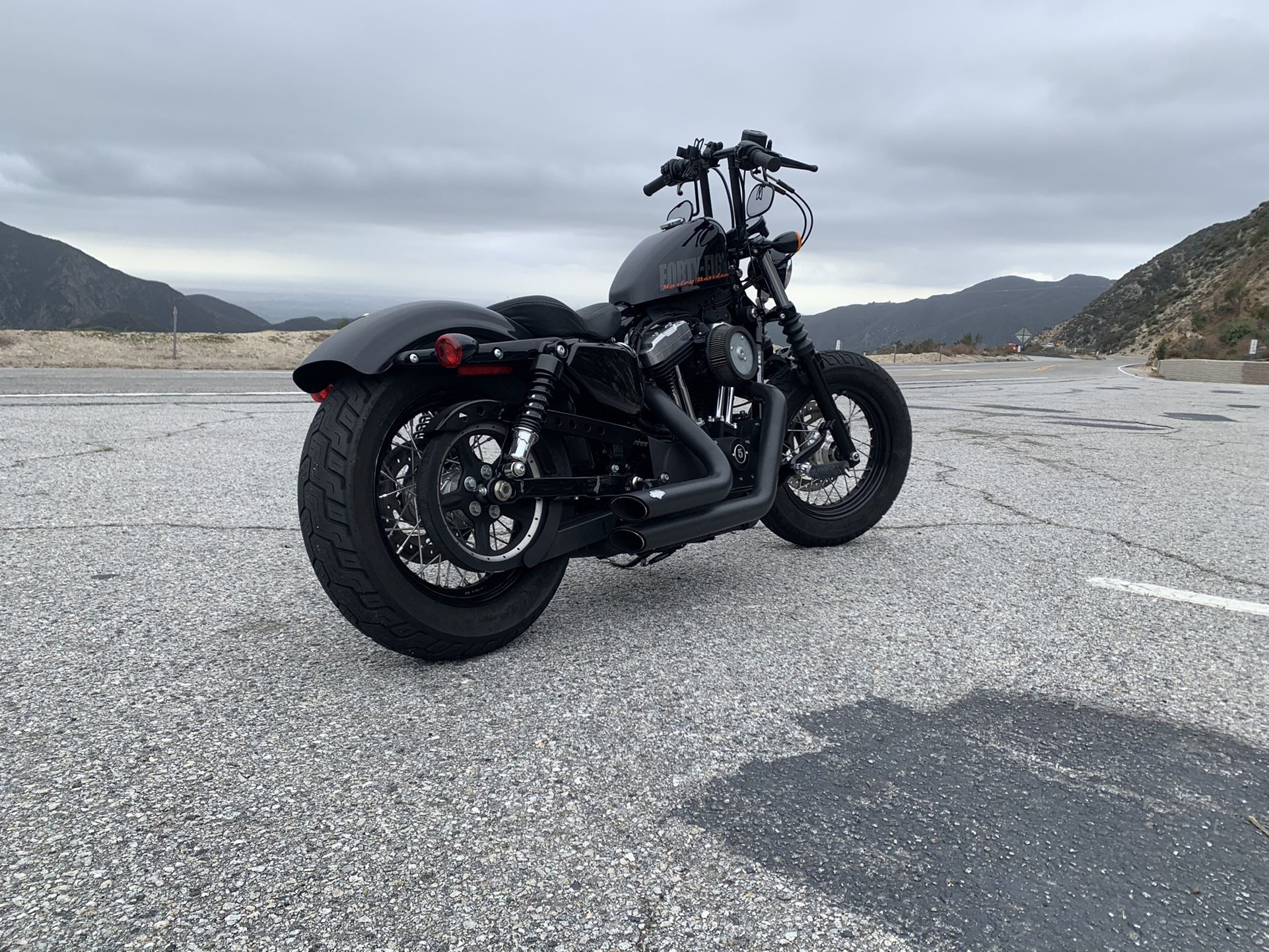 2015 Harley Davidson 48