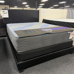 Twin/Full/Queen/King Bedframe. 🚚WE DELIVER🚚