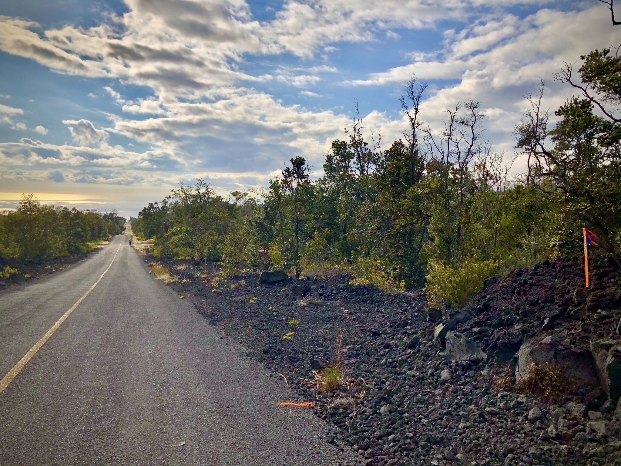 2 Acre Lot In Hawaii 