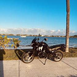 2002 Triumph Tiger 955i