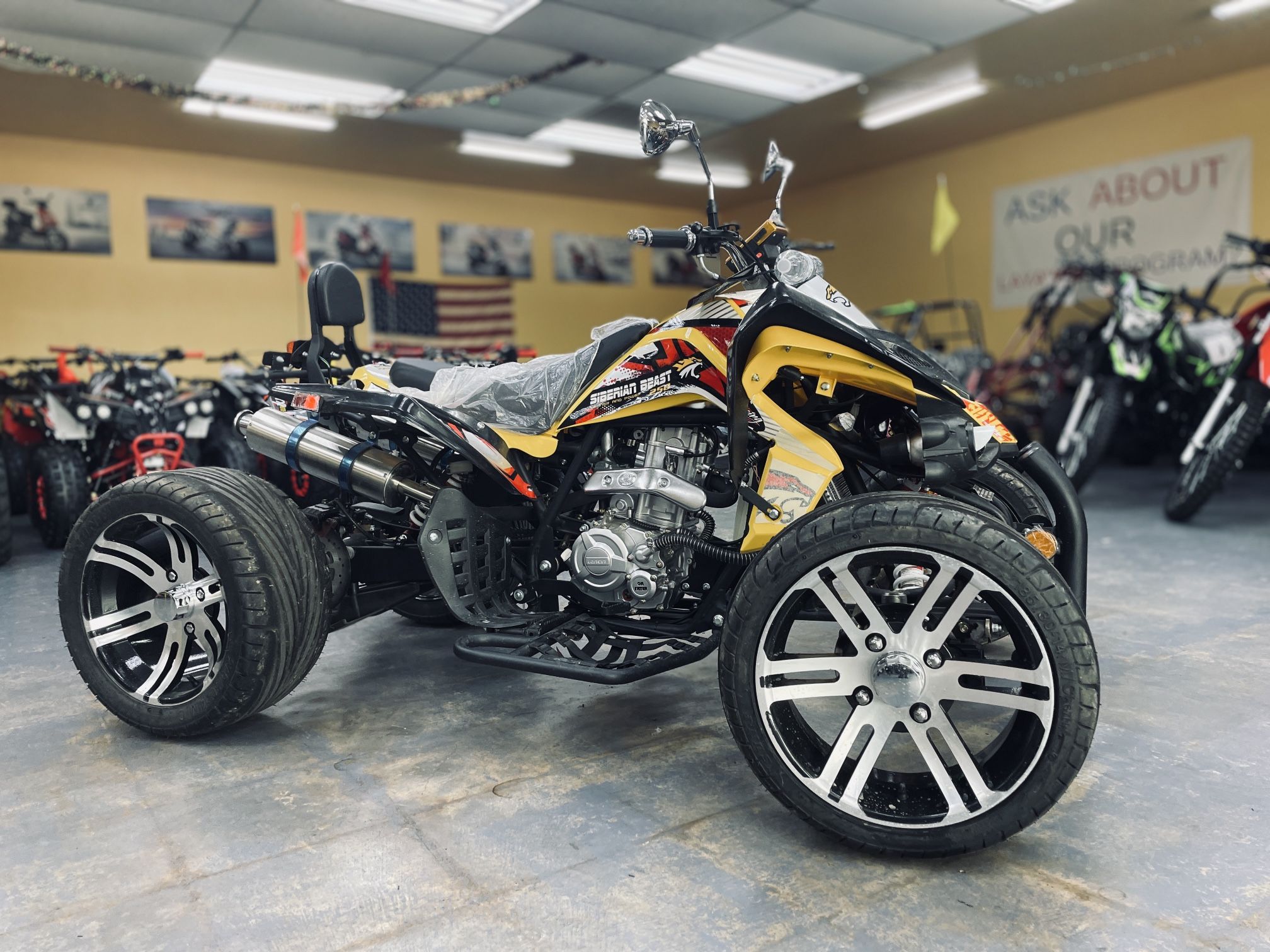 Brand New Siberian Beast 250