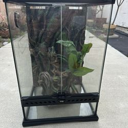 EXO TERRA GLASS TERRARIUM 12"X12"X18"