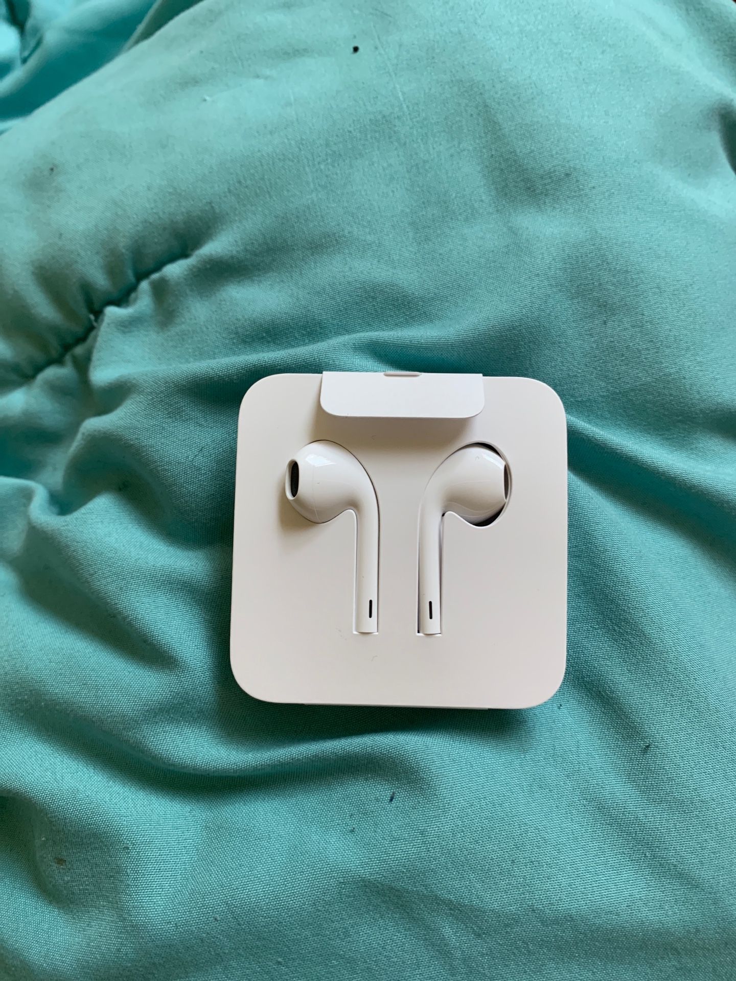 Apple Earphones