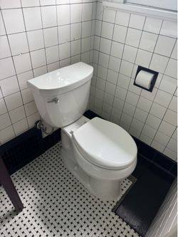 Two used toilets