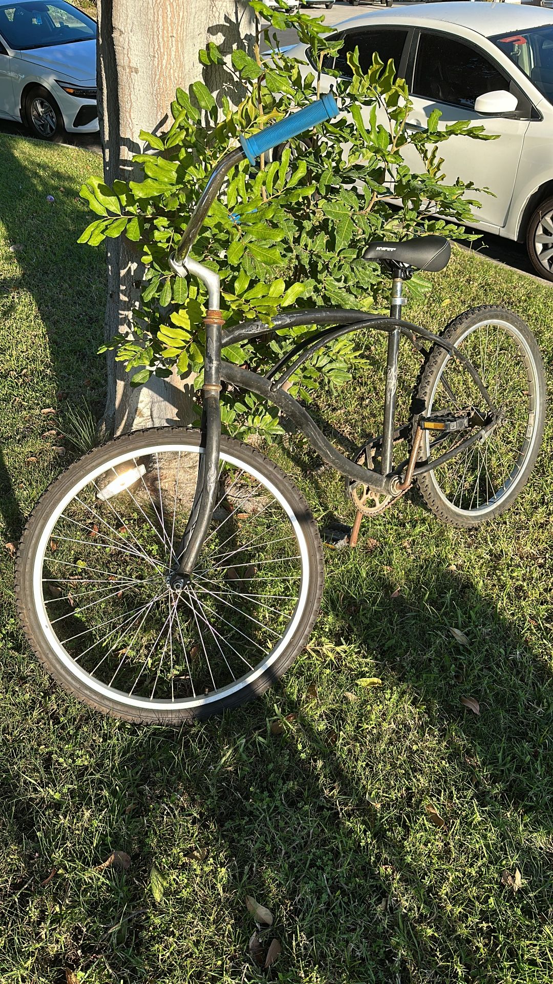 Beach Cruiser “Panter Brand”