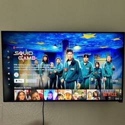 Vizio 50 Inch TV, Remote, Wall Mount