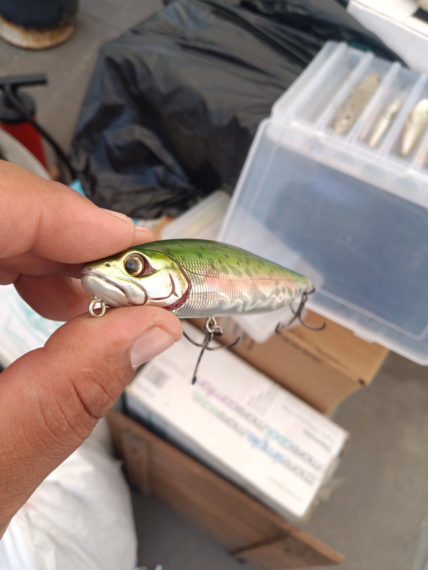Cultiva Top water Lure