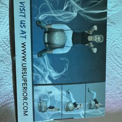 Fitness Ball Professional Kit