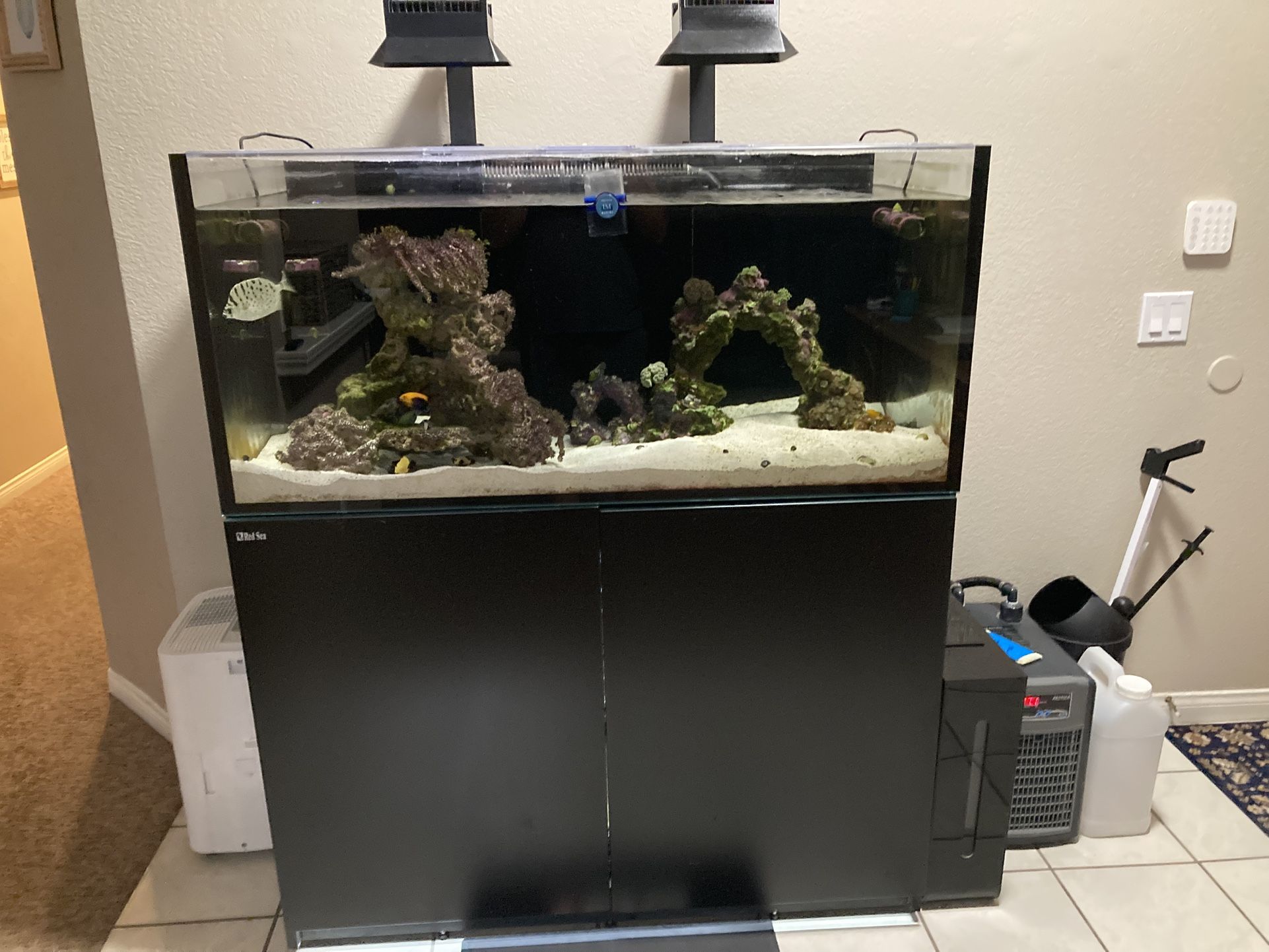 Red Sea 425 Gen 2 Everything Included Many Extras