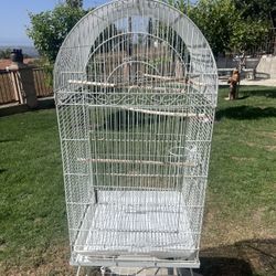 Bird cage 