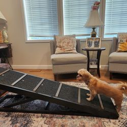 Pet Ramp Folding Portable