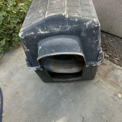 Dog House 