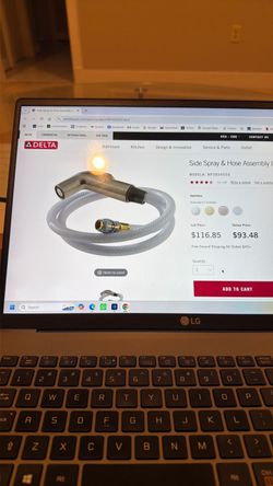 Delta spray and hose Assembly