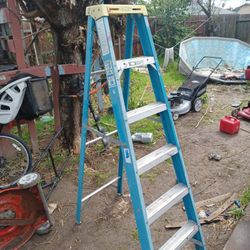 Warner Electro Master Ladder