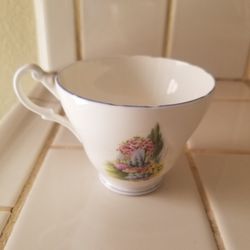 Bone China Tea Cup