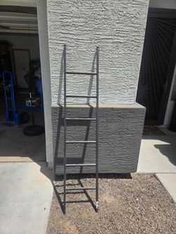 Ladder for beds