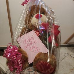 Teddy Bear Mother's Day Gift 