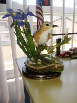 PAJARO SENSONTLE.