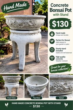 Bonsai pot