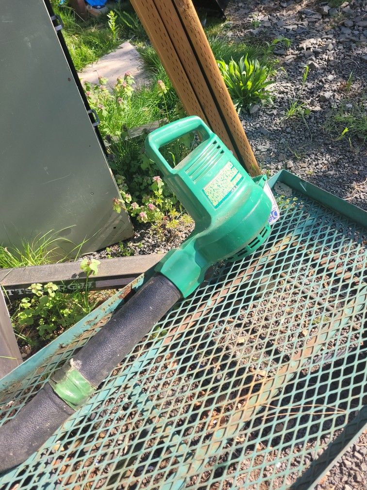 Leaf Blower