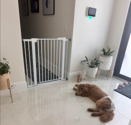 BABELIO 36" Tall Baby Gate, 29-48" Auto Close Pressure Mounted Dog Gate for Stairs, Doorways & Hallway, Protector Basics Easy Walk Thru Pet Gate, Meta