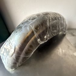 Harley Sportster Rear Fender 