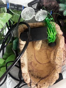 Mister for reptile tank and other tank accessories