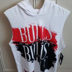 Chicago bulls