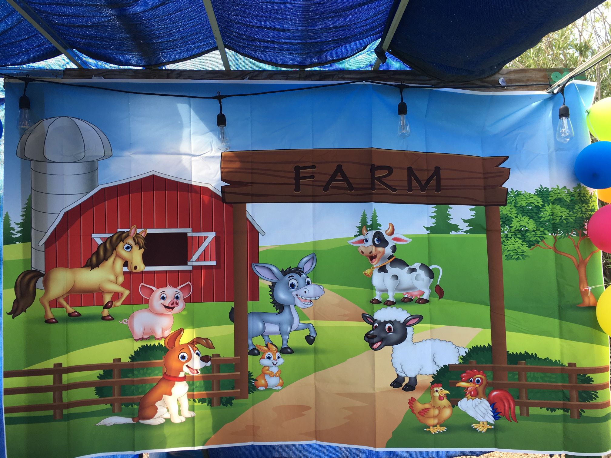 Farm Decorations 